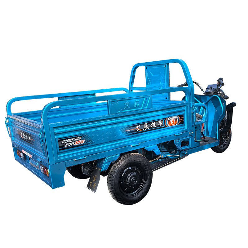 High Quality Electric Tricycle for Passenger 1000W Motorized and Worth the Storage